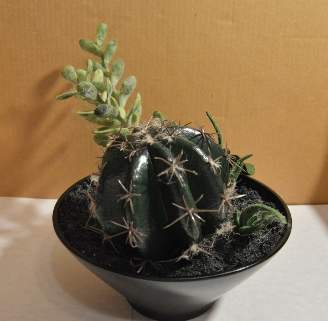 Sonoma Artificial Succulent Accents Greenery With Pot Home Décor ~9″ x 11″ x 8″
