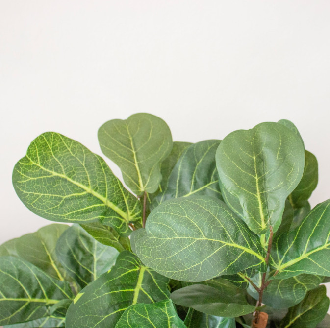 Fiddle Leaf Fig Tree Artificial Realistic Nearly Natural 6’ Home Garden Decor
