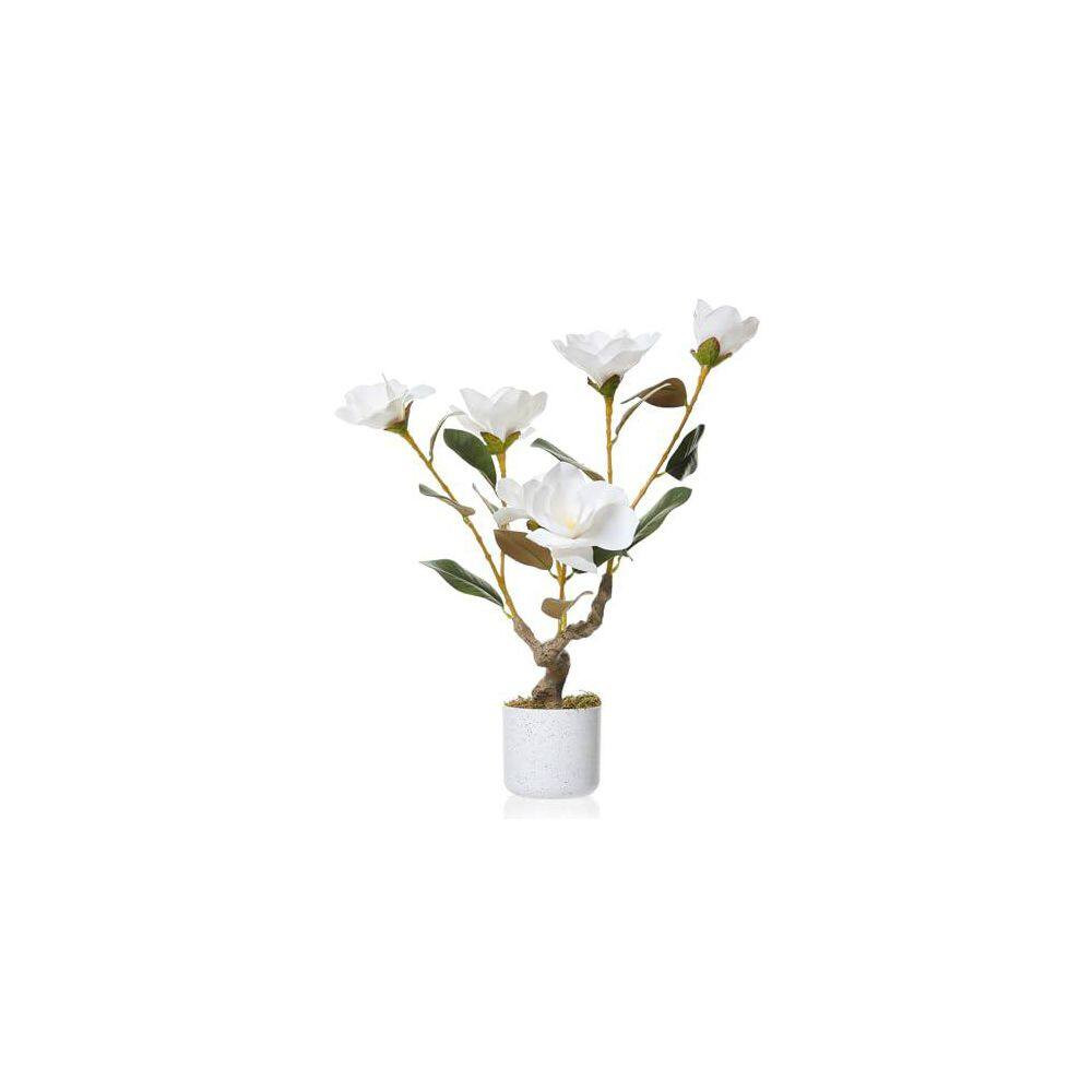 23.6 In. 2-Pack Artificial Magnolia and Orchid Plants,Realistic White Faux Flowe