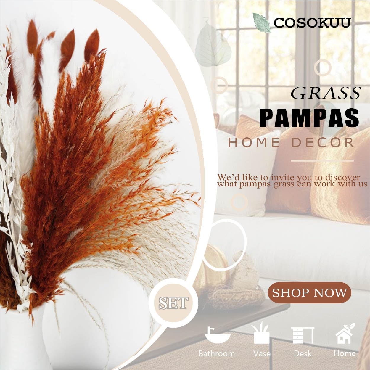 Pampas Grass Dried Flowers for Vase, Burnt Orange Pampas Grass Boho Home Deco…