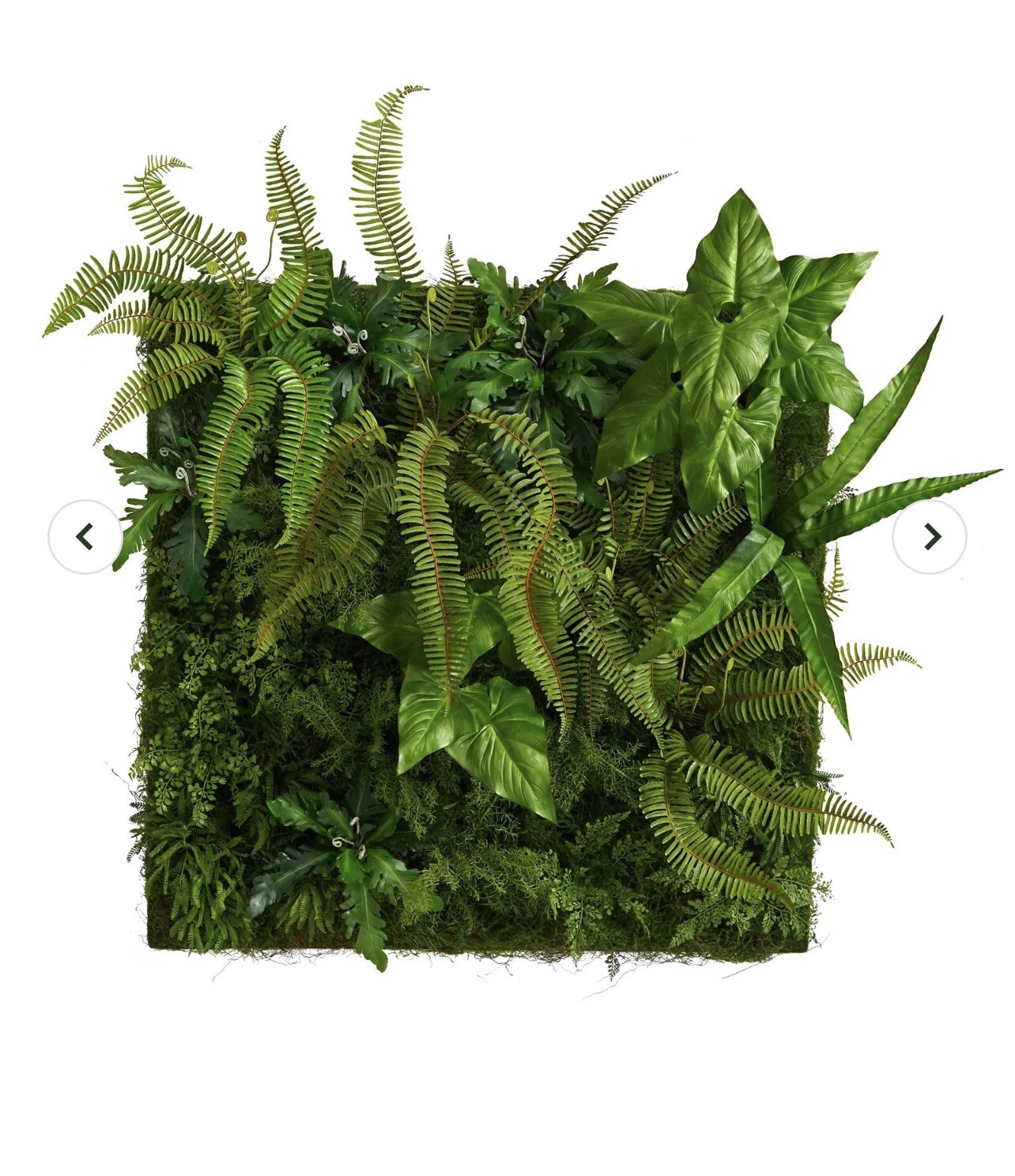 40” Mixed FoliageFerns Artificial Living Wall Panel Home Decor. Retail $639