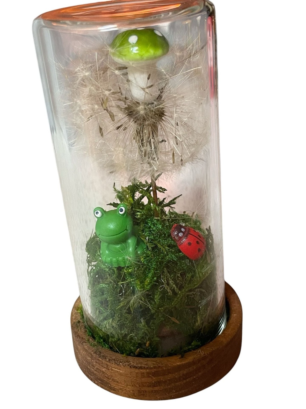 Preserved Dandelion and Mushroom Glass Dome Terrarium with Frog and Ladybug