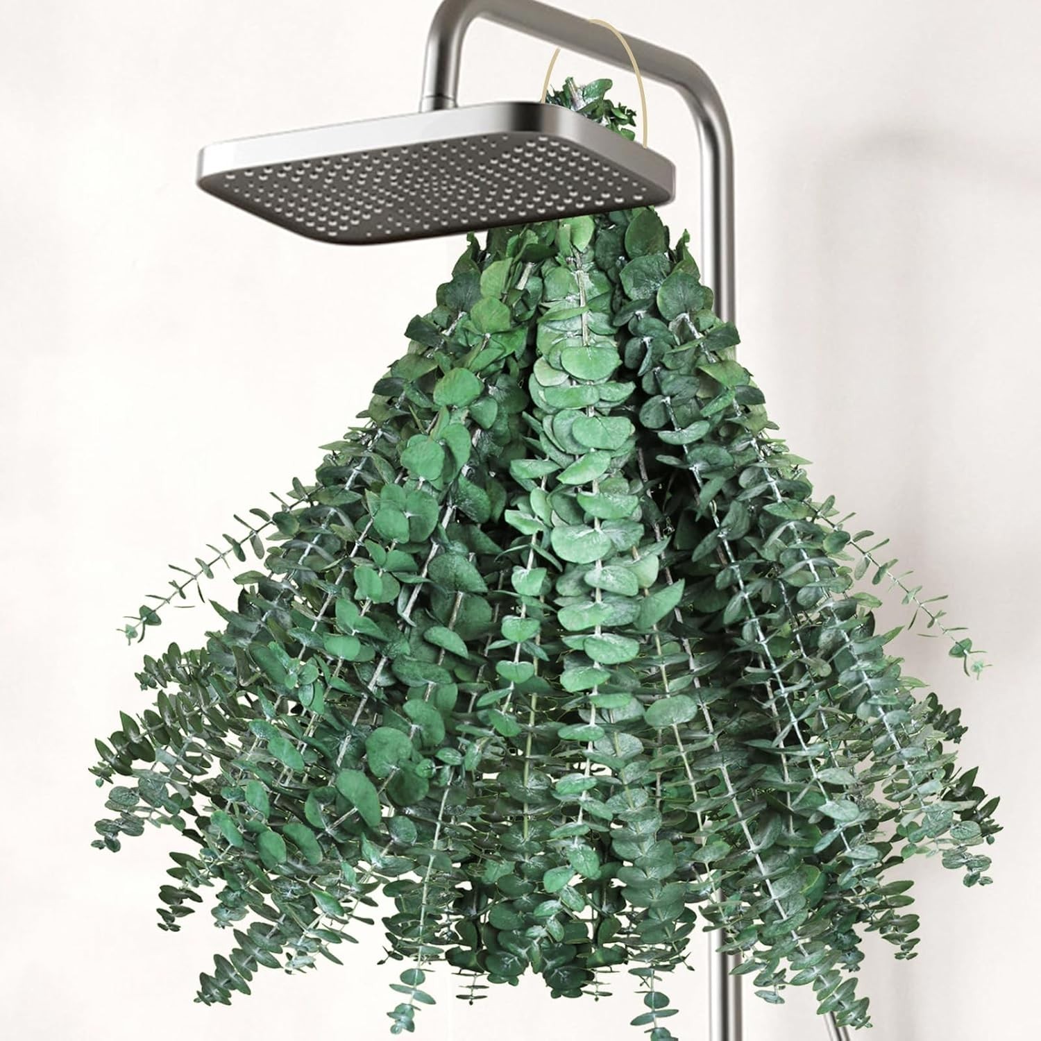 30Pcs Dried Eucalyptus Stems, 17″ Real Preserved Eucalyptus Plant for Shower, Fr