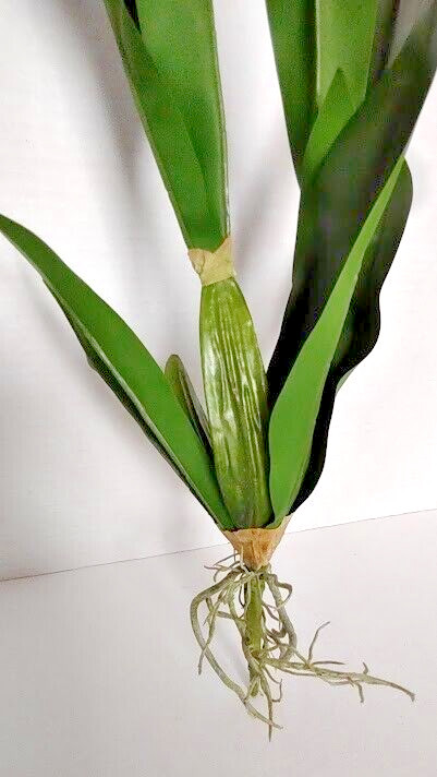 Artificial Oncidium orchid leaf bush with roots. Silk orchids.