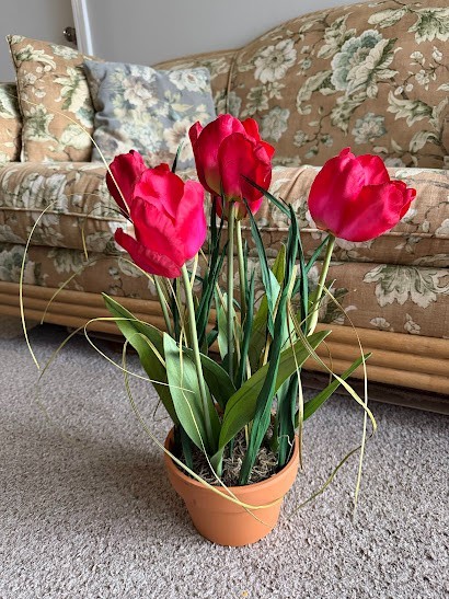 Spring flower bouquet of Red tulips in a pot (5 pieces)