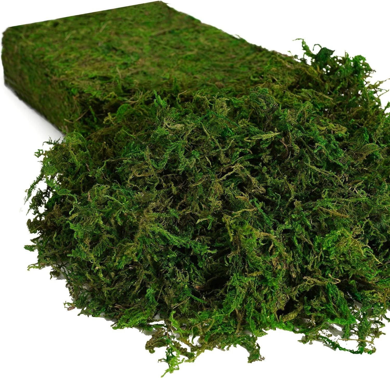 8OZ Fake Green Moss for Crafts, Terrariums, Fairy Gardens & Indoor Plants – N…