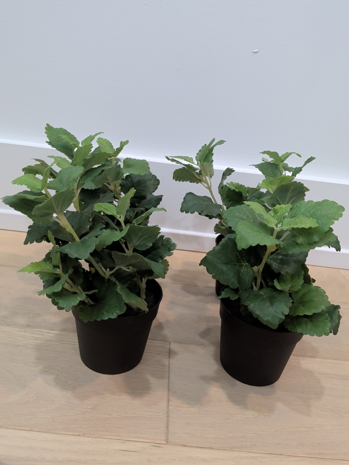 SET LOT OF 4 IKEA FEJKA Artificial Faux Fake Potted Plants Herb 302.341.68