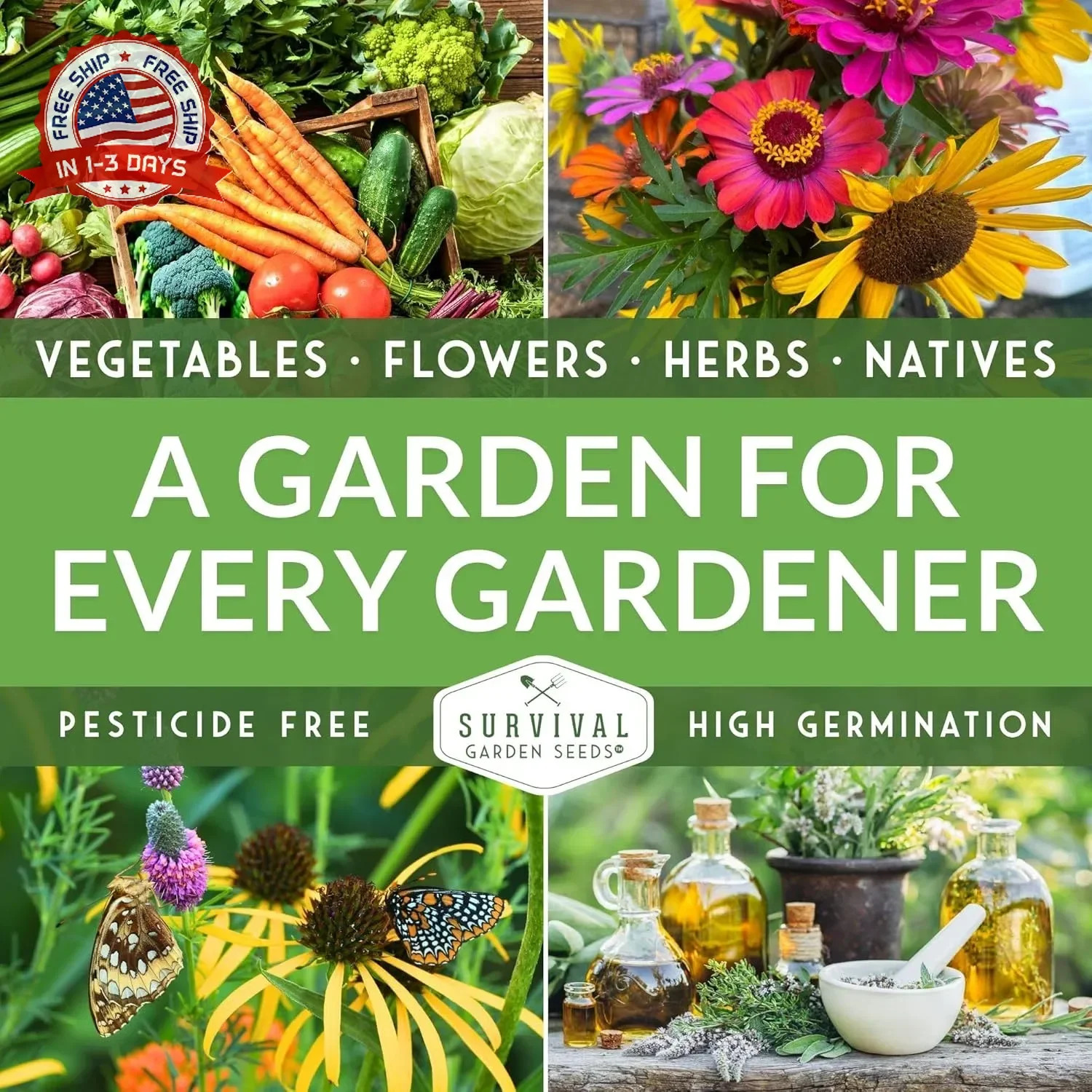 Thai Chili Pepper Seeds for Planting | Bird’s Eye Hot Peppers – Heirloom Non-GMO
