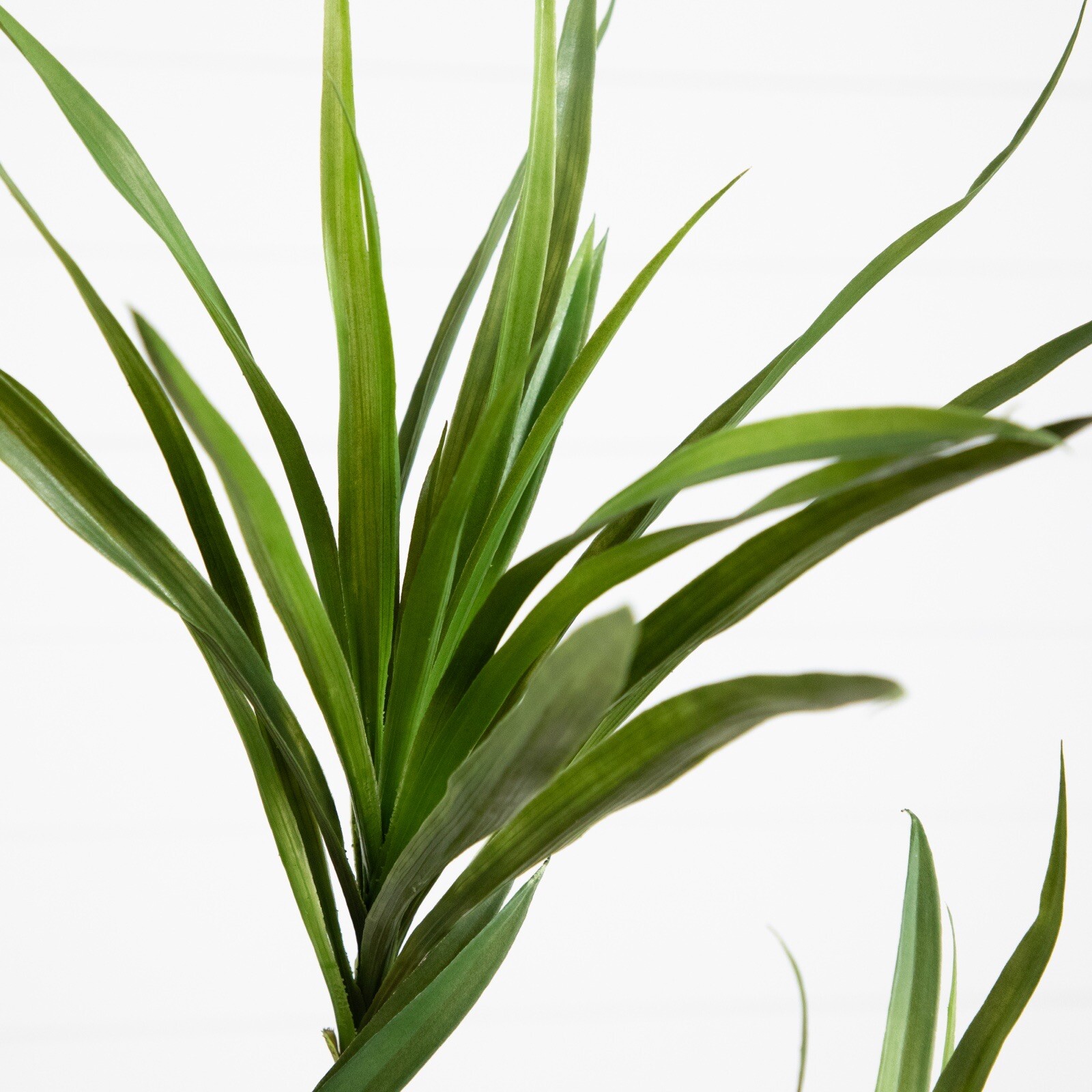 6’ Artificial Dracaena Tree with Real Touch Leaves Home Decor. Retail $289