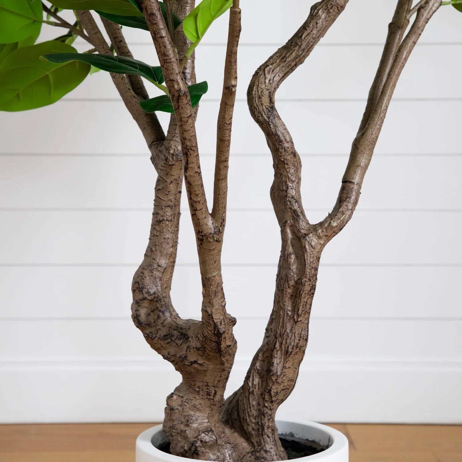 6’ Artificial Grand Audrey Ficus Leaf Tree in White Planter. Retail $435