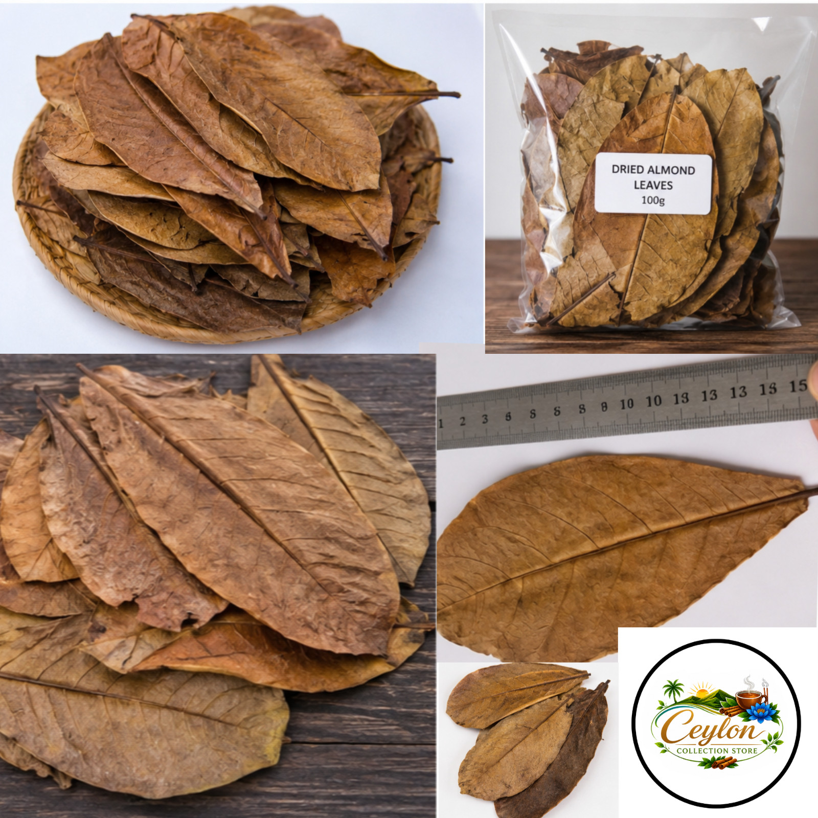Dried Almond Leaves 100g Natural Catappa Leaves (10-15Cm)