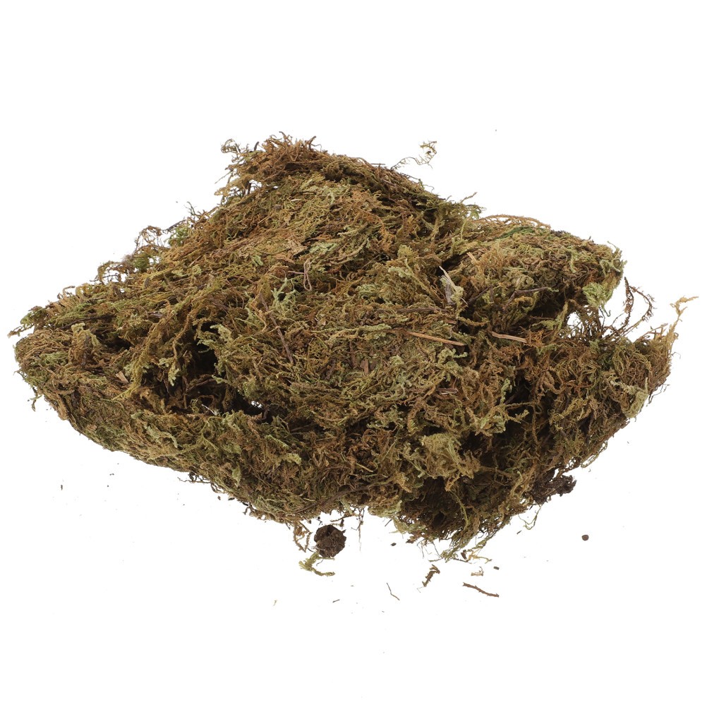 2 Packs Gardening Dried Moss Natural Moss for Flowerpot Moss Landscaping