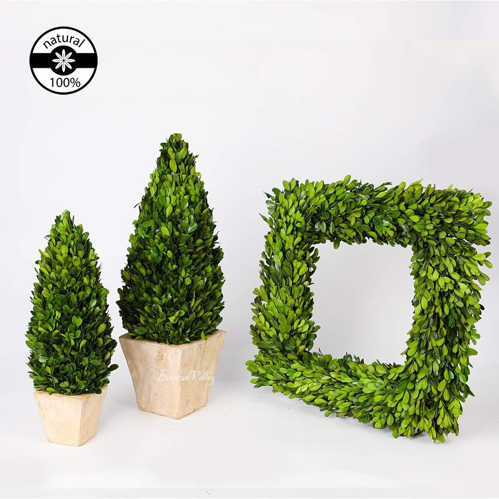 Preserved Boxwood Wreath, Christmas Wreath Wedding Home Decoration, Farmhouse St