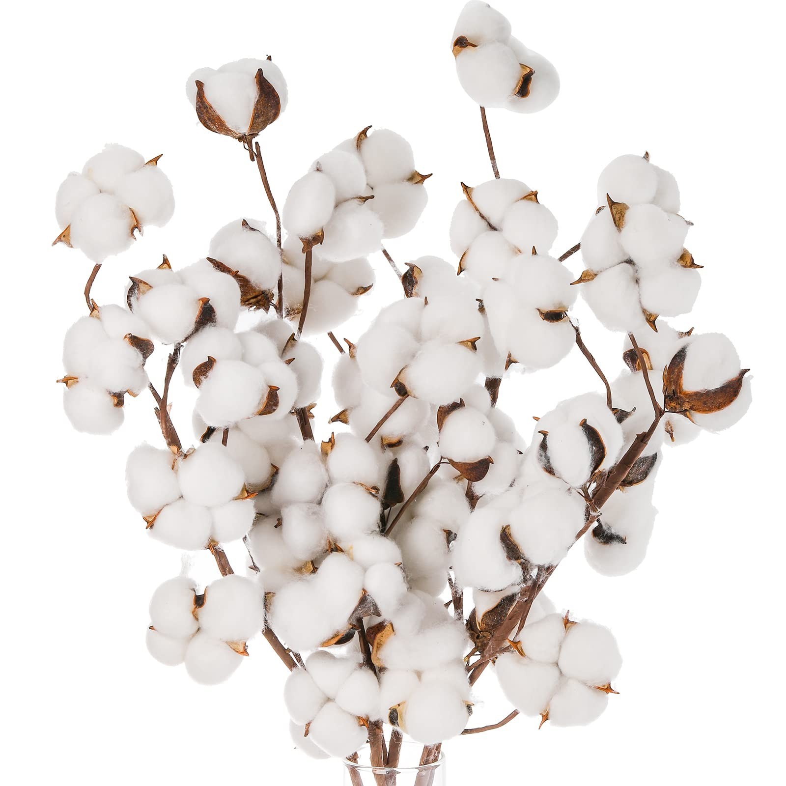 5 Pack Cotton Stems – 50pcs Cotton Flower Bolls, 20″ Natural Floral Branches for