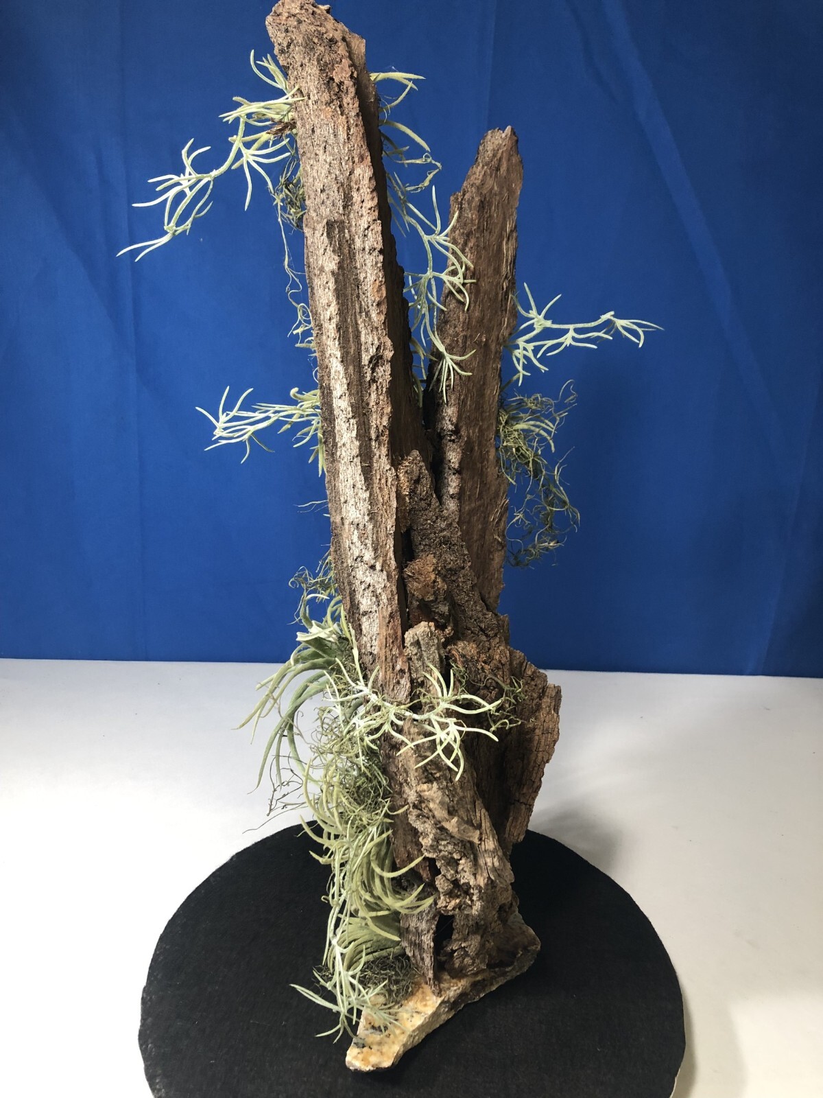 Artificial Succulent Air Plant Home Office Mounted on Real Wood Bark and Stone