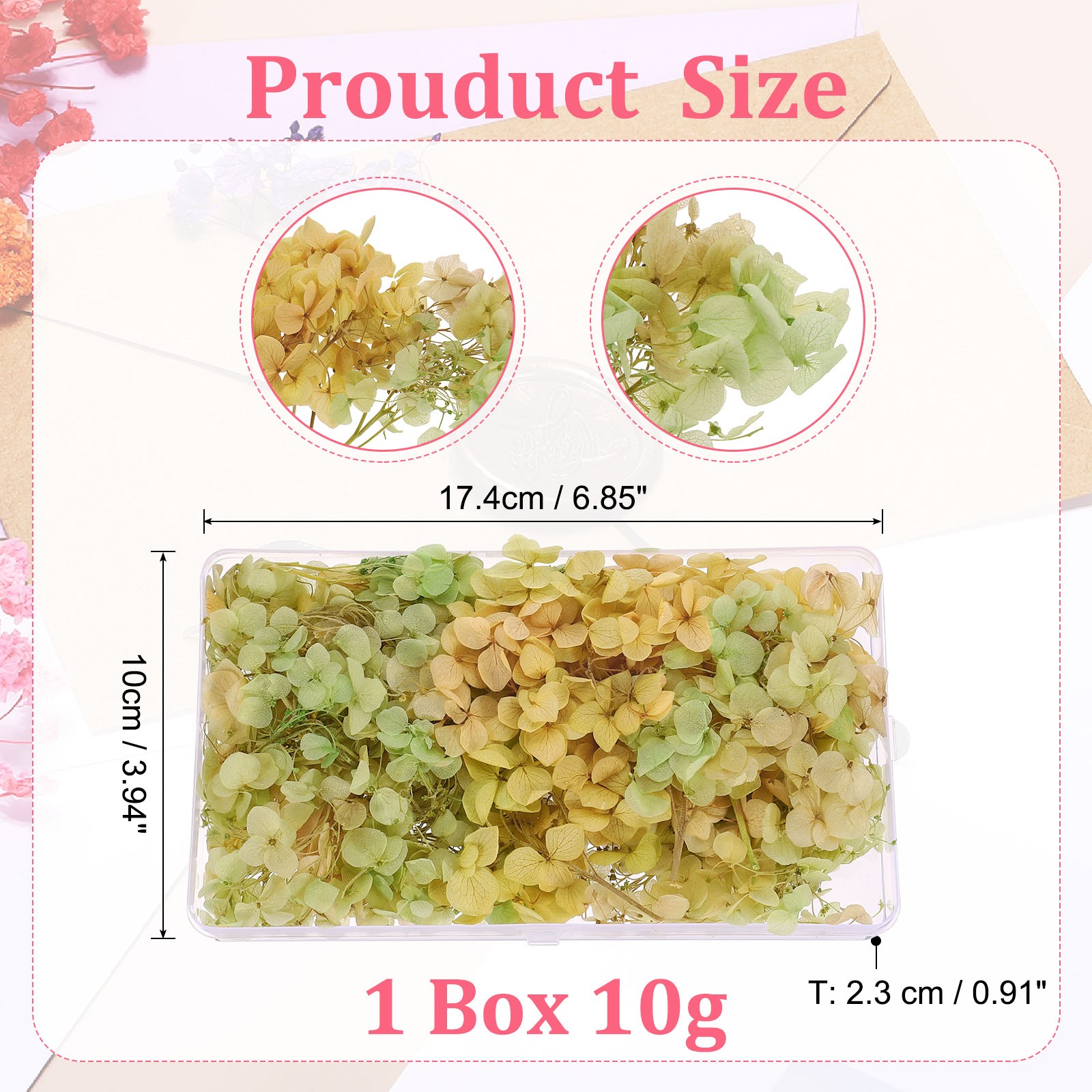 10g Mini Dried Hydrangea Flower Natural Pressed Flower Gradient Green Pink
