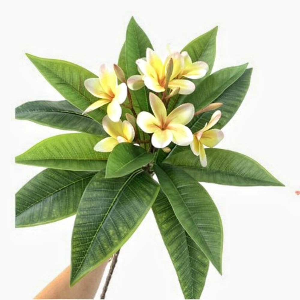 35.5 Inch Artificial Flowers Artificial Frangipani Flower 2 Stems Lifelike Re…