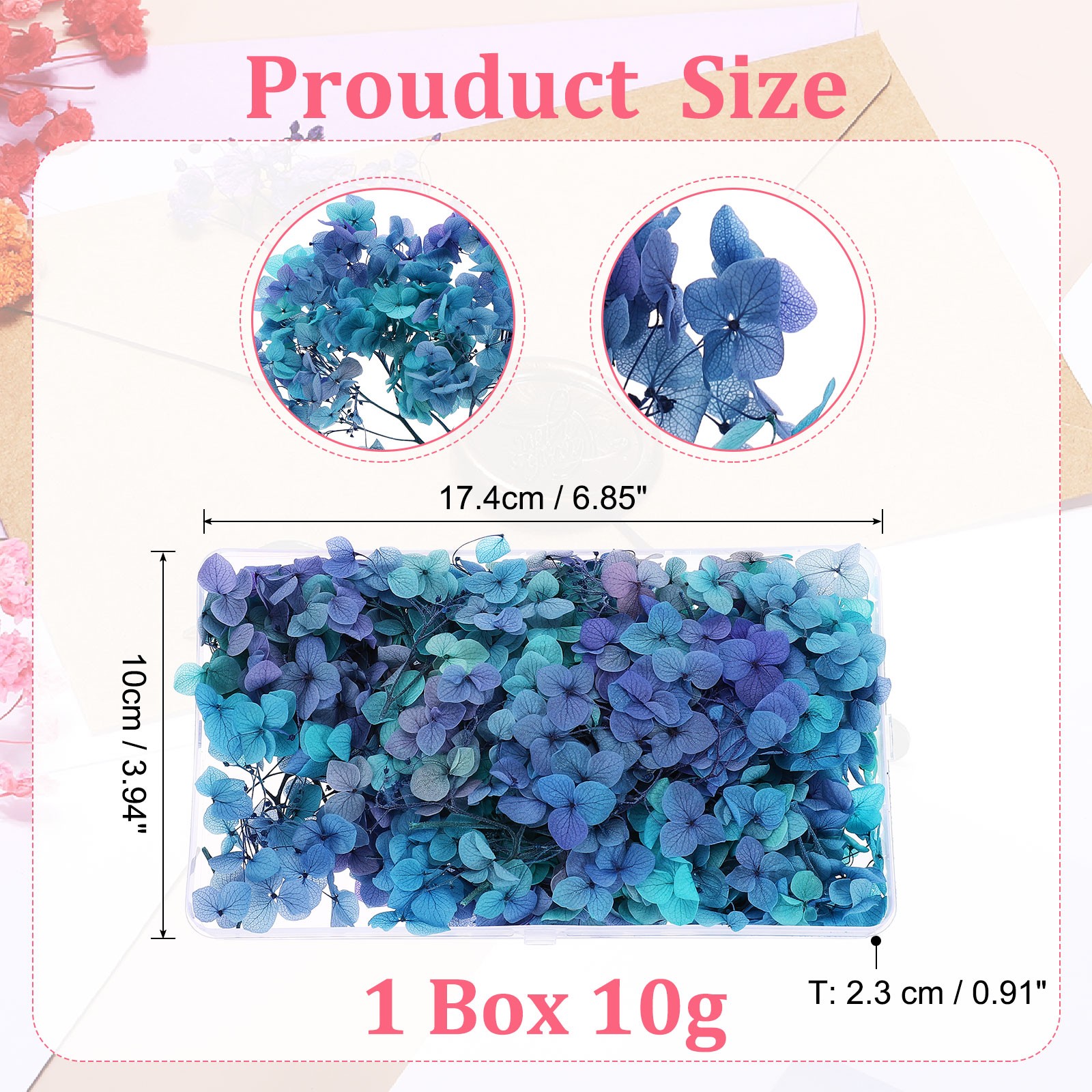 10g Mini Dried Hydrangea Flower Natural Pressed Flower Gradient Blue Purple