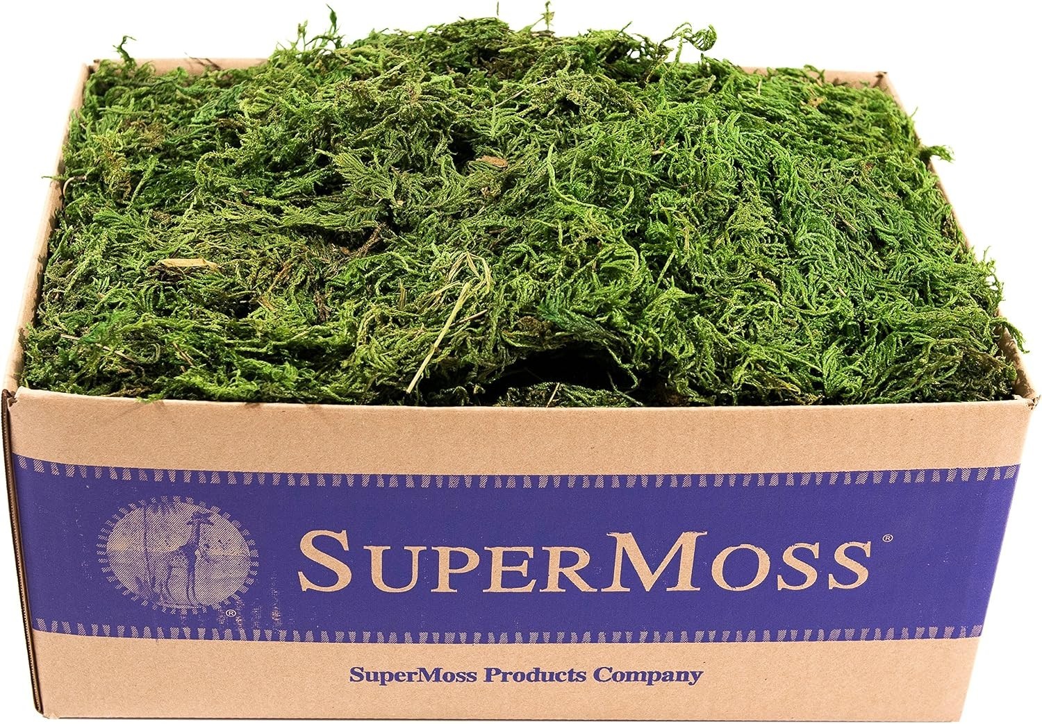 Long Lasting Moss for Home & Garden
