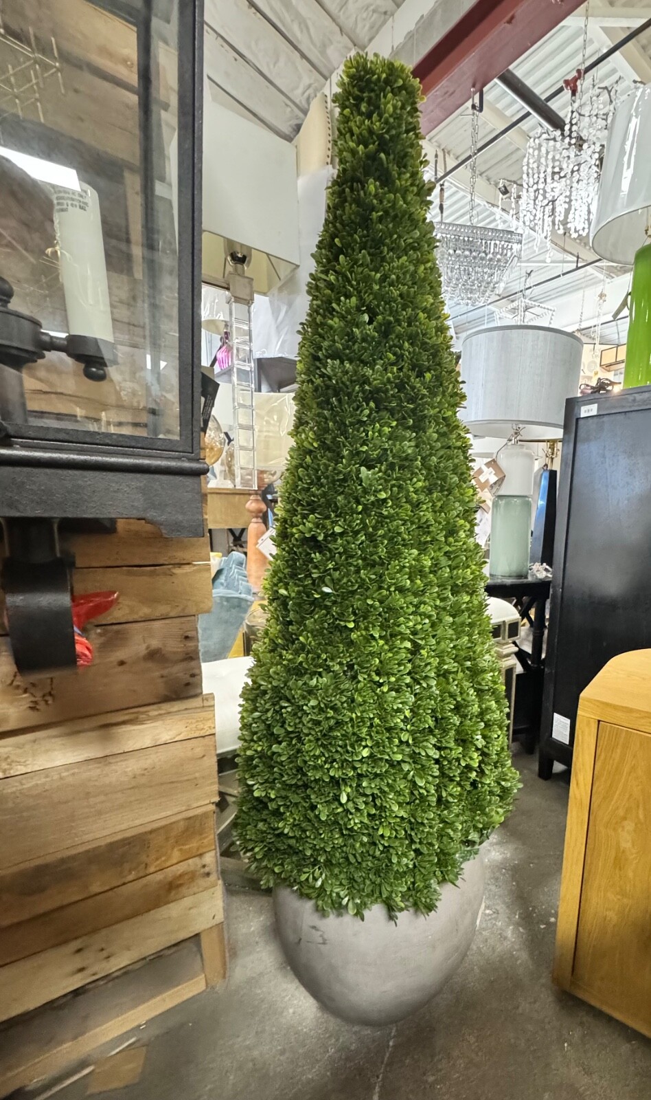Faux Boxwood Cone Plant in Concrete Pot, 67″T