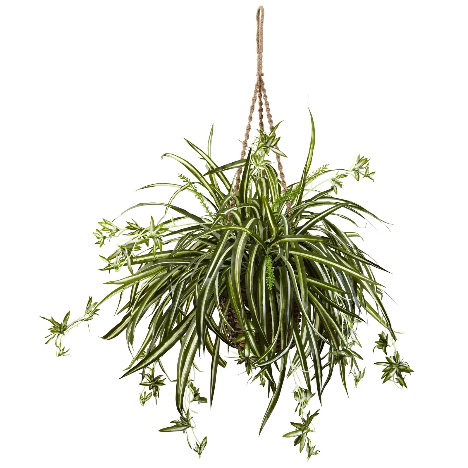20 Inch Spider Plant Hanging Basket Variegated Leaves Indoor Outdoor Decor