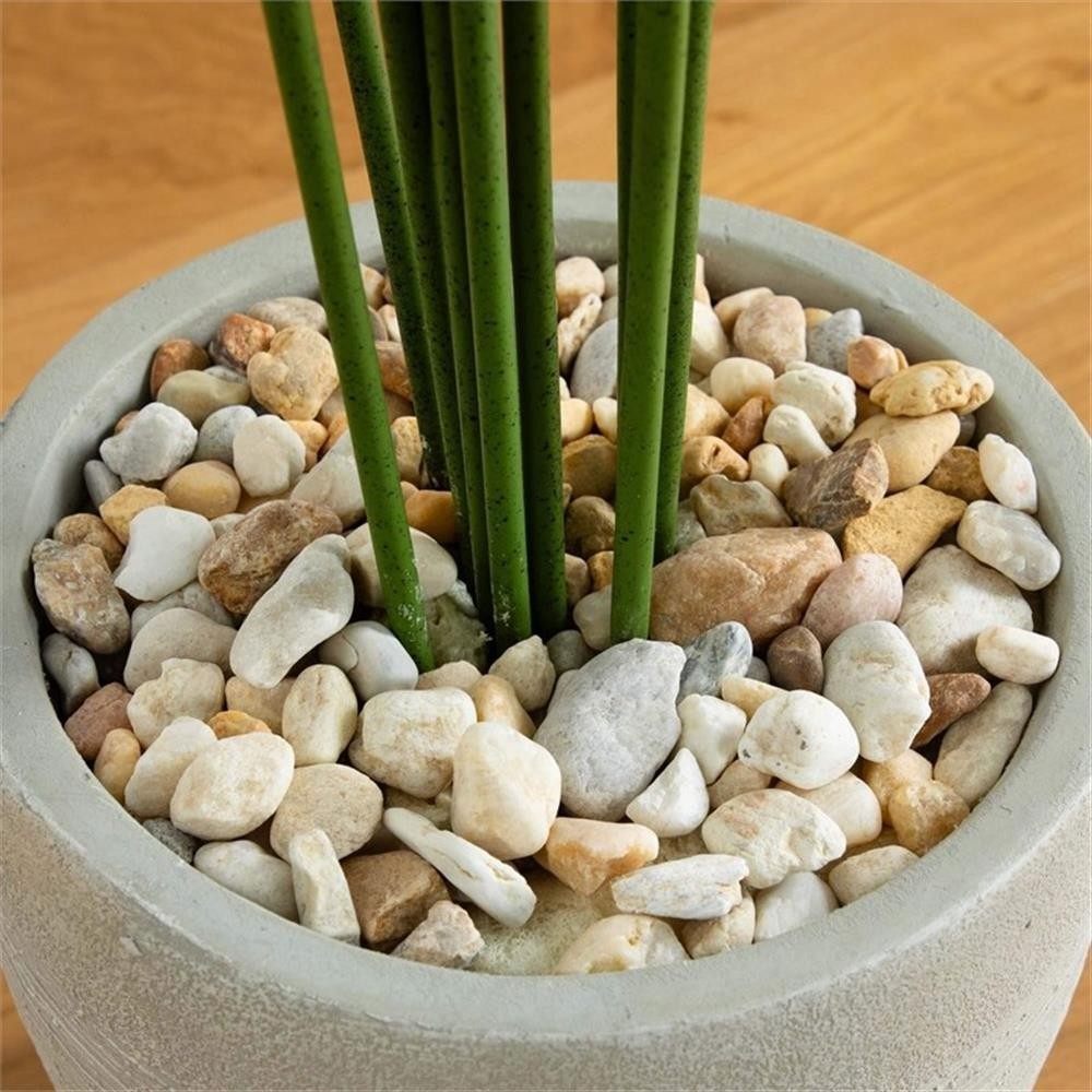 Pemberly Row 66″ Paradise Artificial Palm Tree in Sand Colored Planter