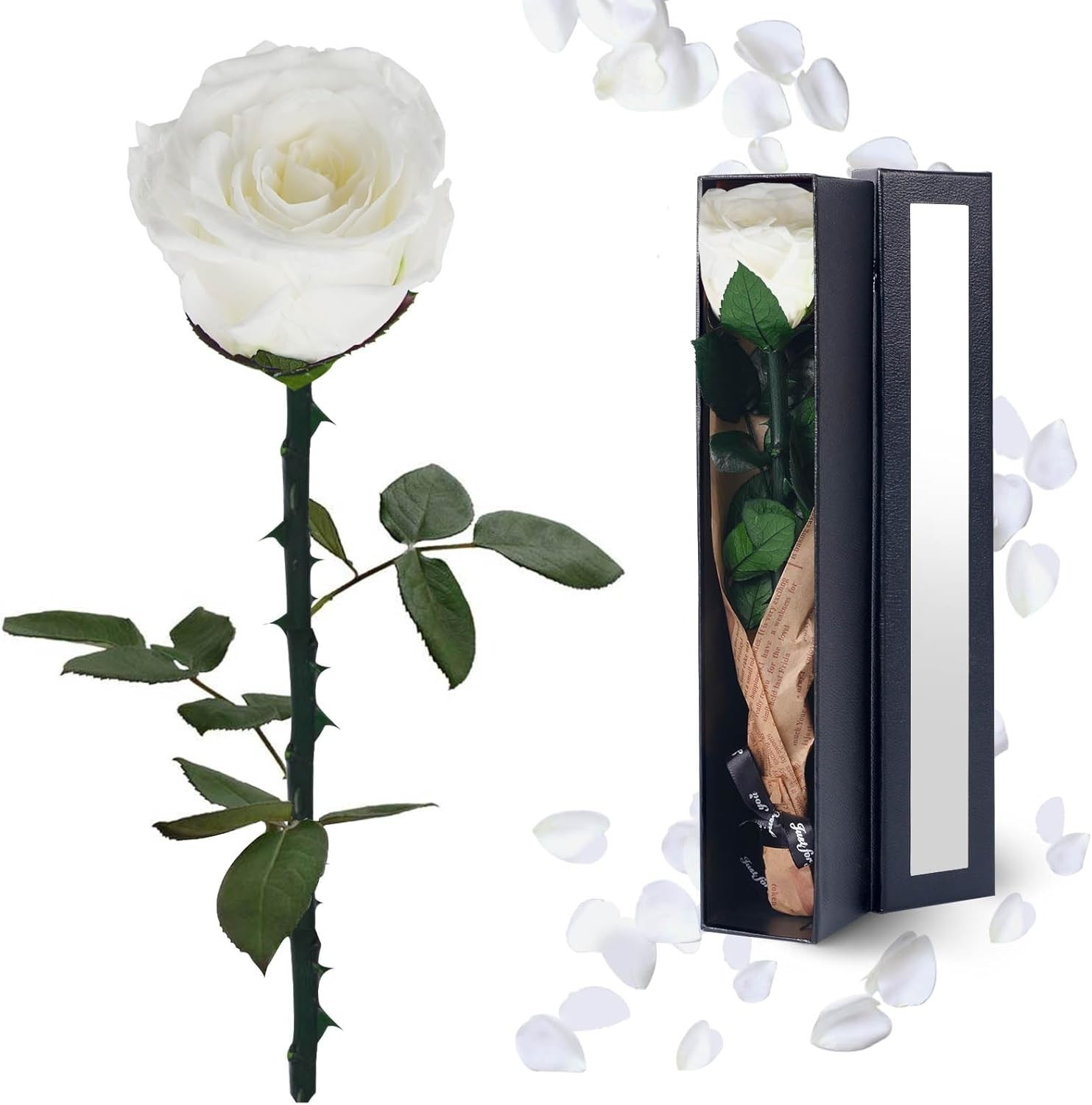 Preserved Flowers Gifts for Women: Mothers Day Birthday Christmas Anniversary…