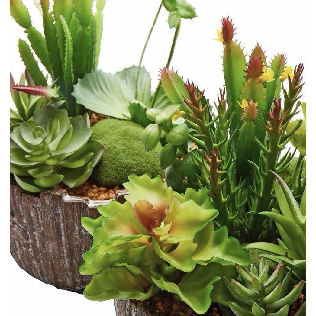 Pure Garden Set of 2 Faux Succulents in Concrete Planters 50-LG1146 8in Tall