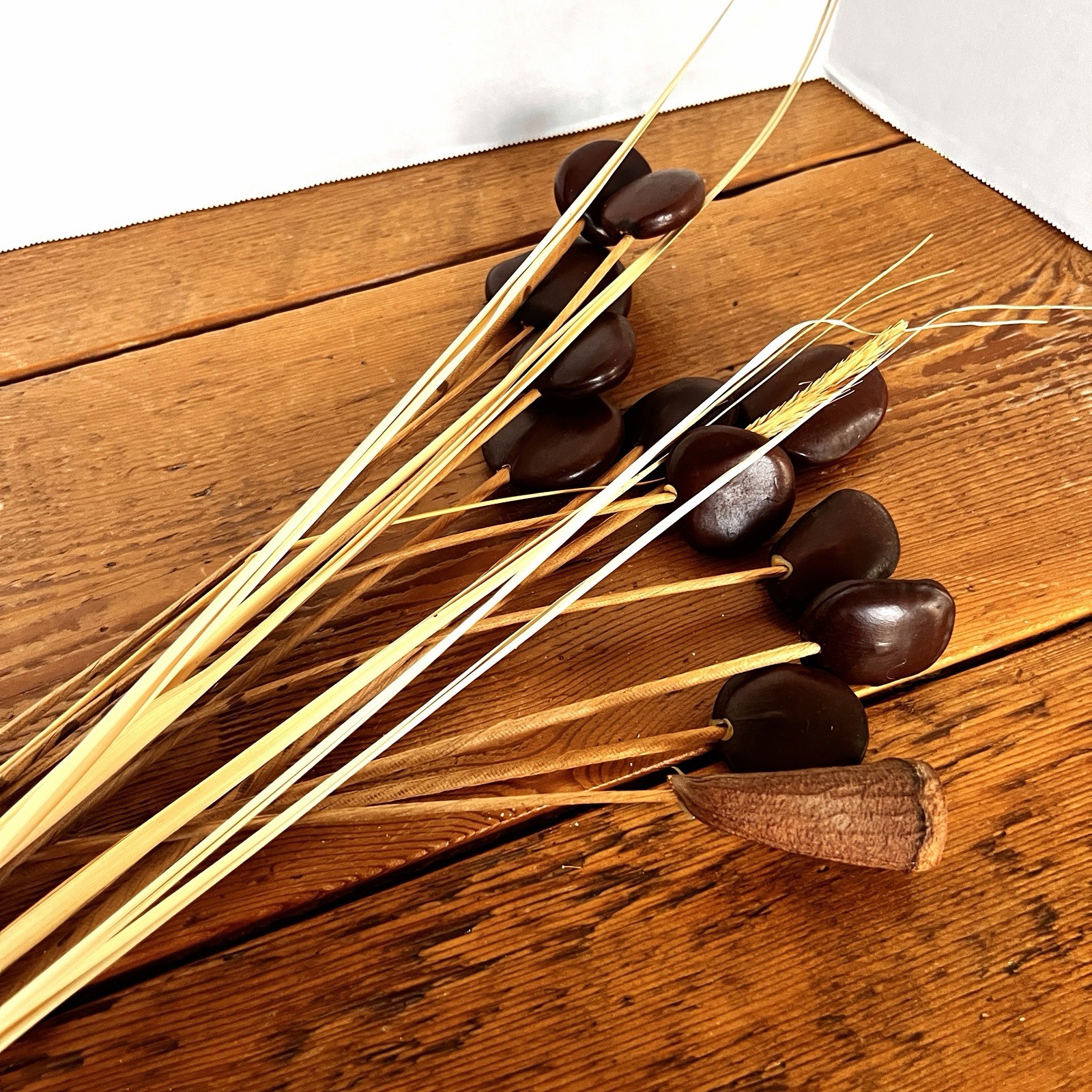 Wood Seed Pods W/Stem (11x) For Floral Arrangements Vases Decor MCM