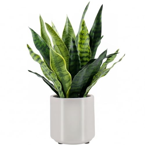 Fake Snake Plant 22″ Tall, Realistic Touch Leaves, Potted 22 Inch Snake