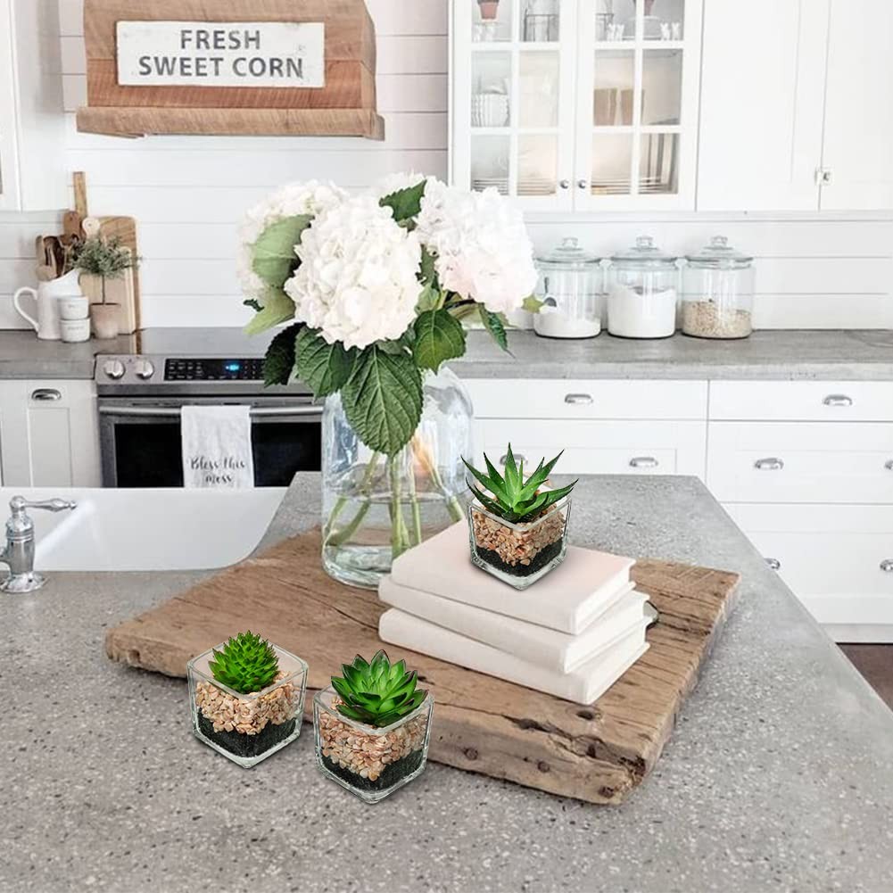 Set Of 3 Succulents Plants Artificial In Glass Pots Small Fake Succulents Plants