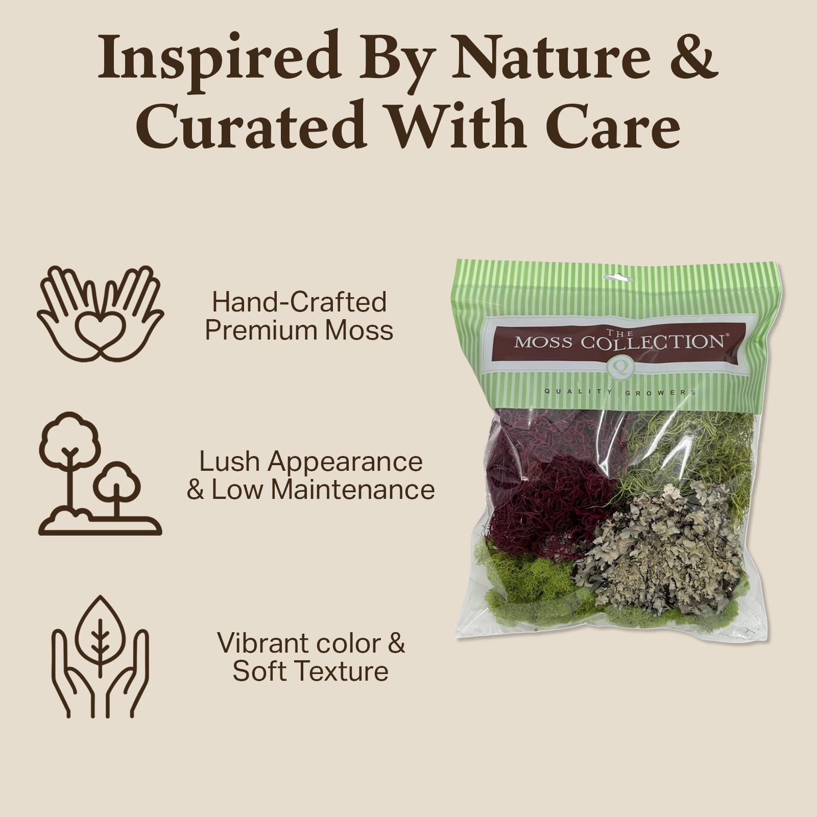 Natural Decorative Moss Variety Pack – Non-Toxic Craft & Home Decor – Red Mix, 2