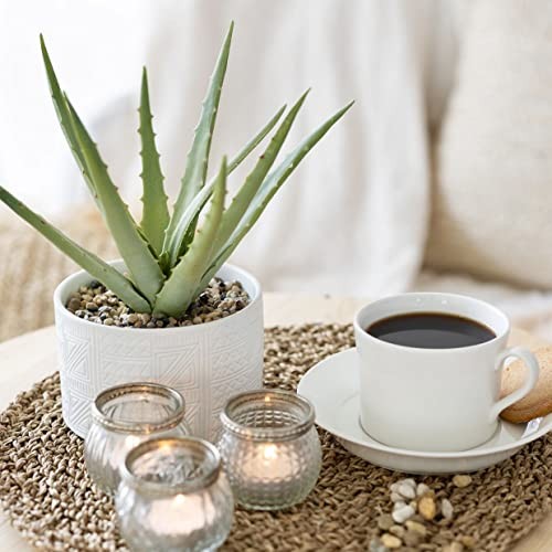 Artificial Plant in White Ceramic Pot | 10″ high sage Green Faux Agave Plant