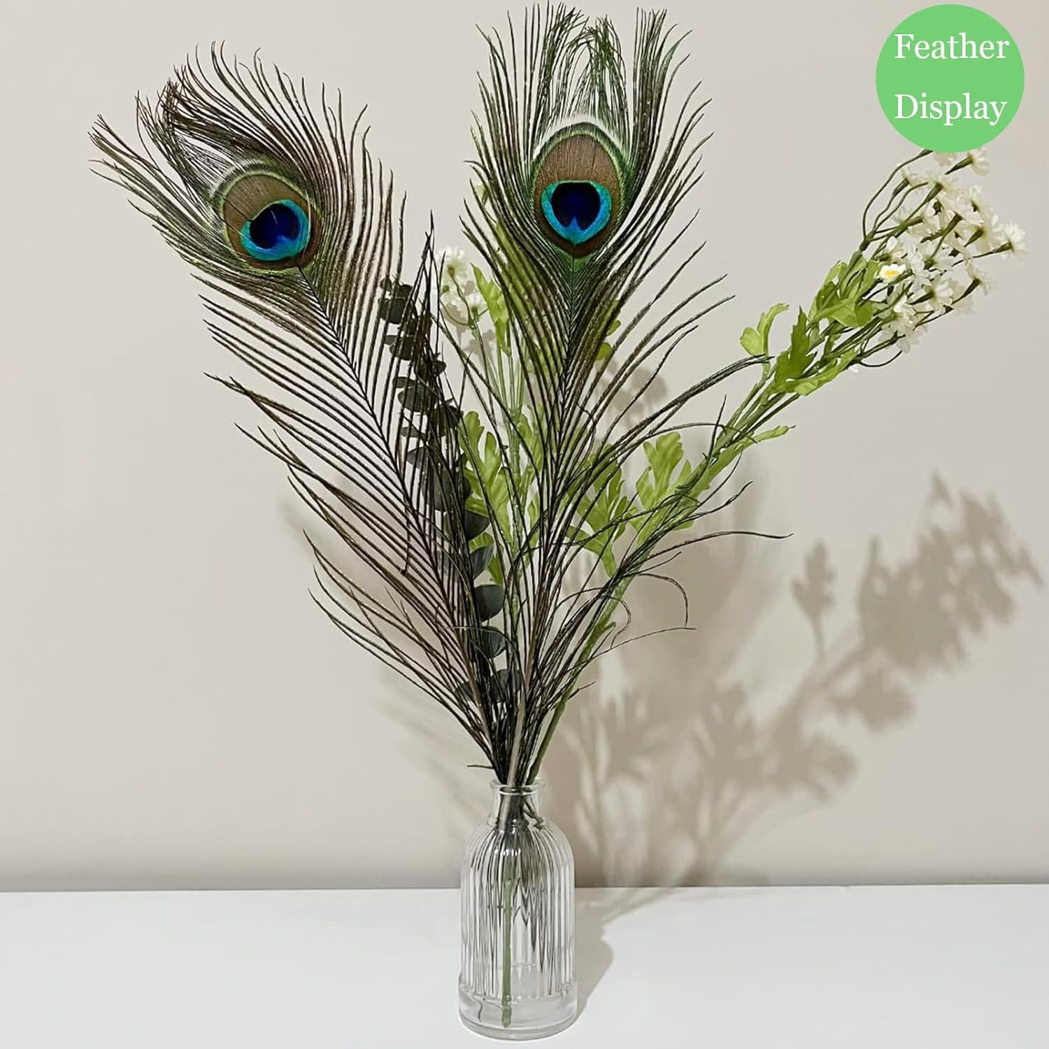 Natural Peacock Feathers 16-18Inch for Home Decor Flower Arrangement Centerpiece