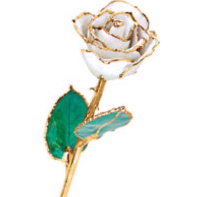 24K Yellow Gold Trimmed White Rose April Diamond White Real Long Stem Rose