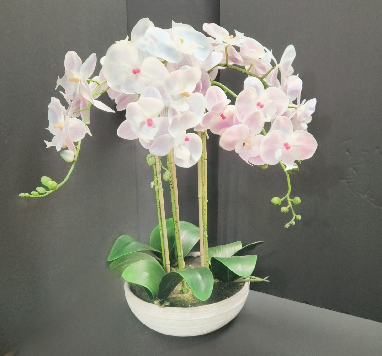 Allen + Roth Silk Artificial Orchid – New