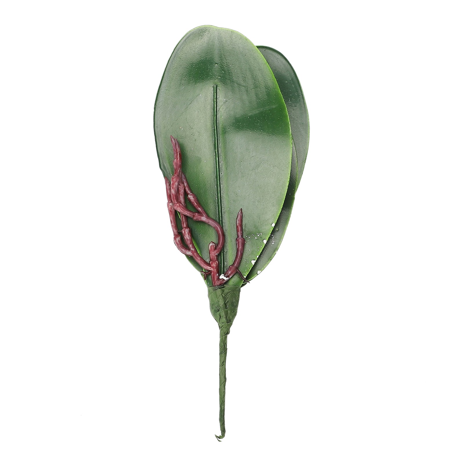 Eva Large 4 Pieces Of Phalaenopsis Leaves Orchid Leaves Wedding Home Decorati US