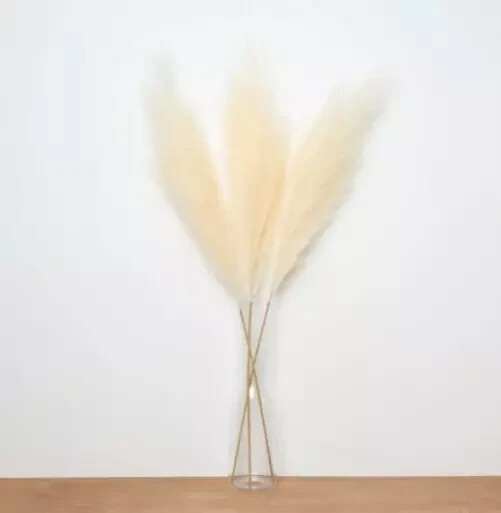 Artificial Pampas Grass 3PCS 43″ Tall Beige Ivory Boho Floor Vase Home Decor