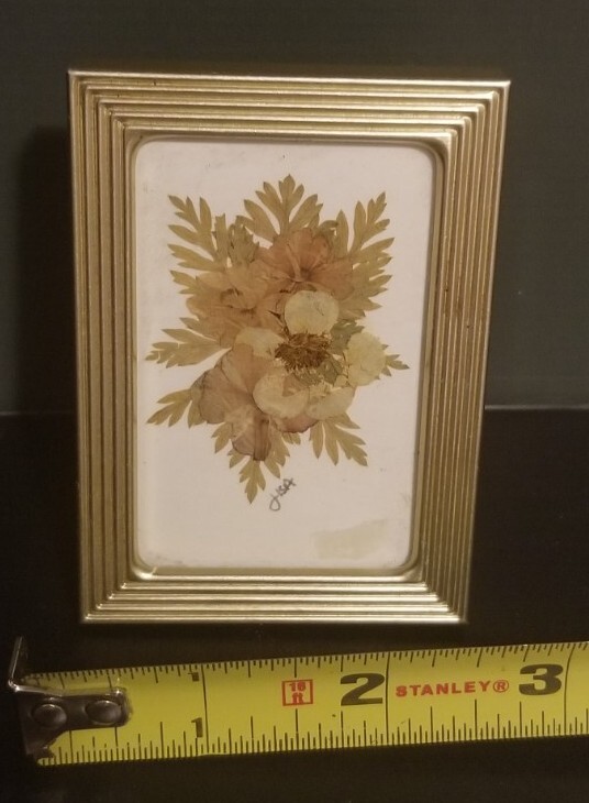 Small 2 3/8″ X 3 3/8″ Press Dried Flower #7 Multicolors Framed FF25