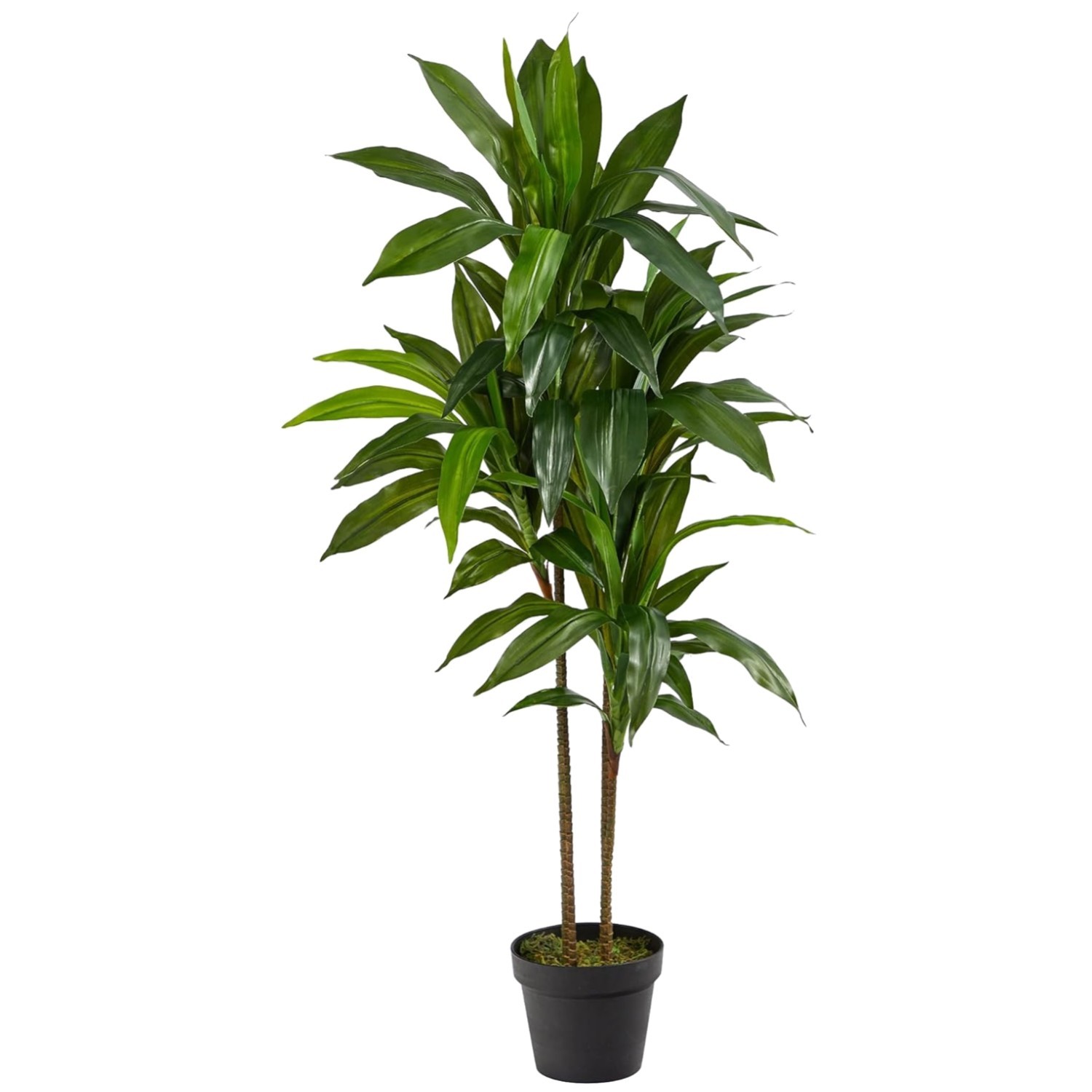 48in Artificial Dracaena Plant with Multi Tonal Trunks