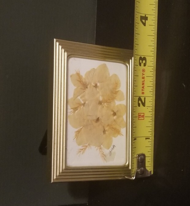 Small 2 3/8″ X 3 3/8″ Press Dried Flower #10 Yellow Framed FF25