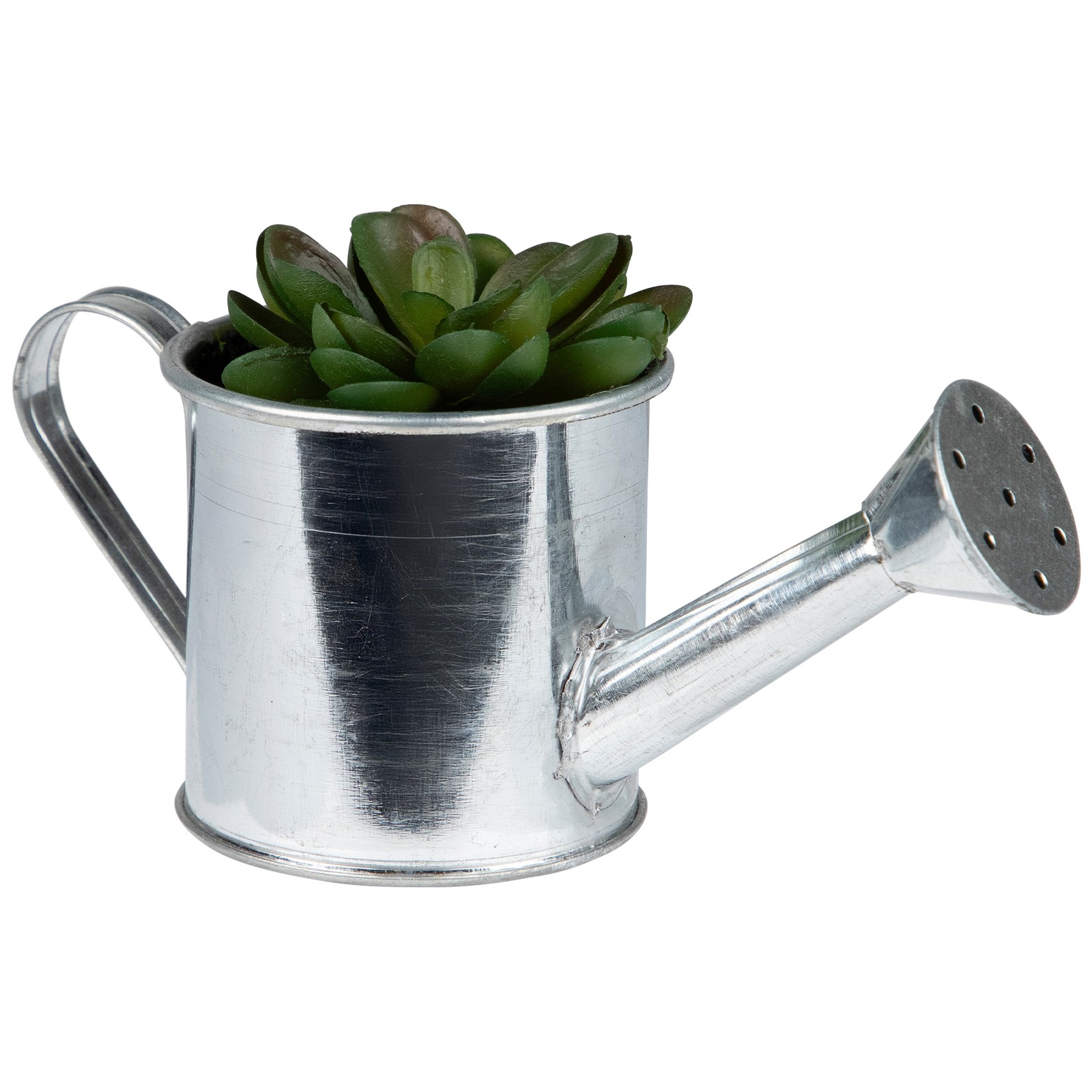 Northlight 4” Lime Green Mini Artificial Sprouting Rose Succulent Tin Water Can