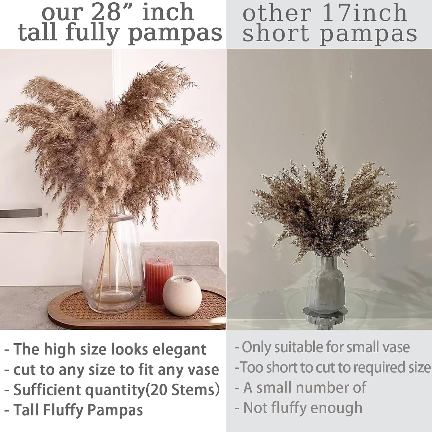 20 Stems 28″ Large Brown Pampas Grass – Natural Fluffy Pompas Grass Bulk for Flo