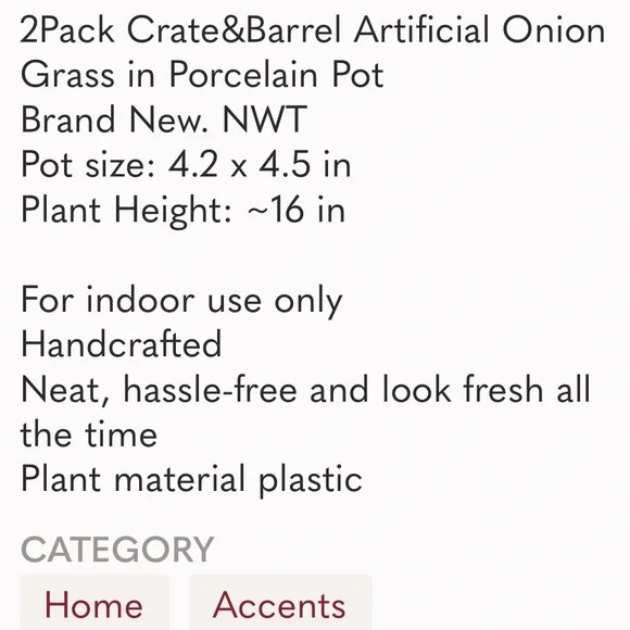2-Pack Crate & Barrel Artificial Onion Grass in Porcelain Pots *NEW