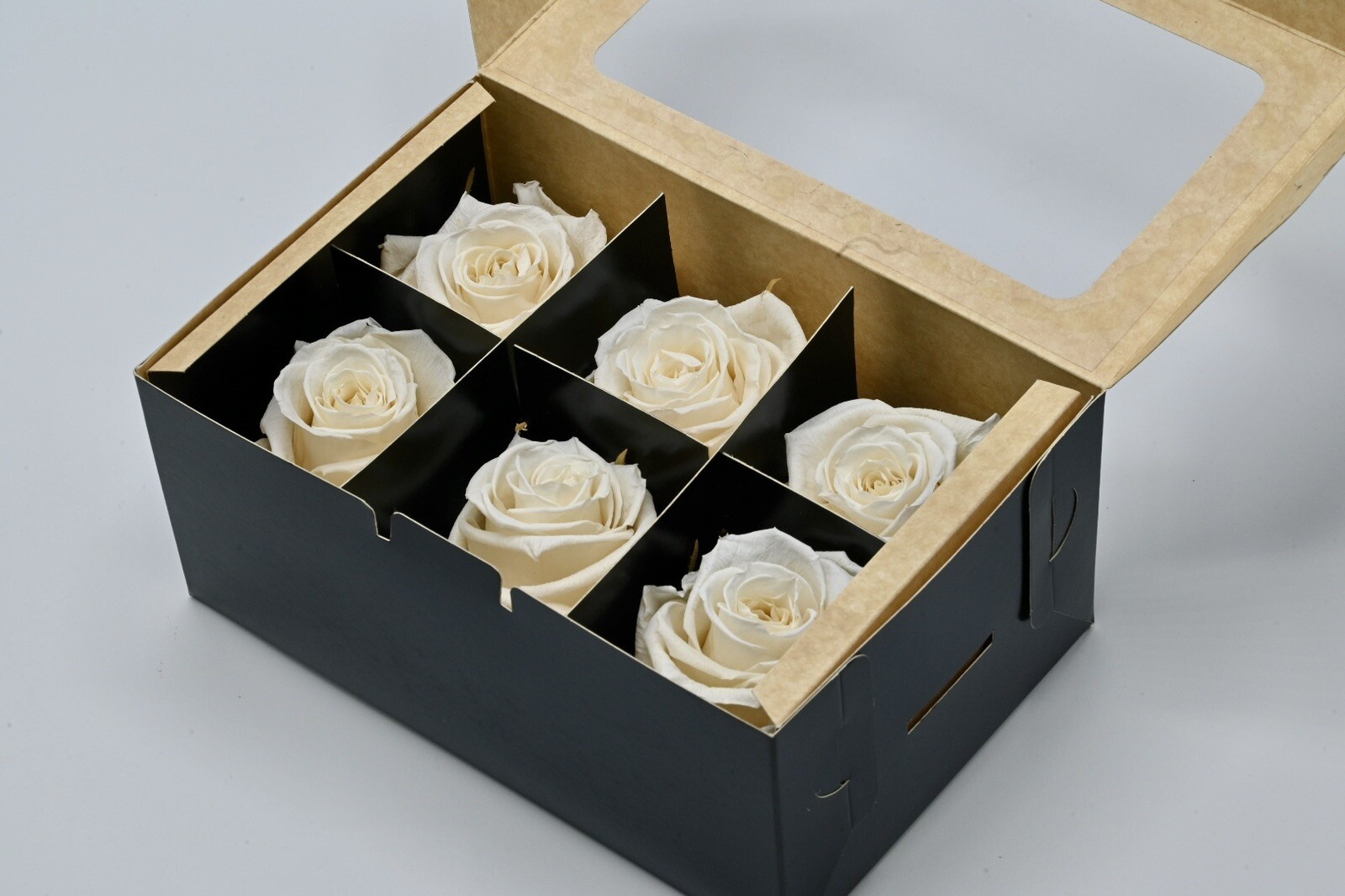 Ecuadorian Preserved Roses Head (package of 6) multiple colors