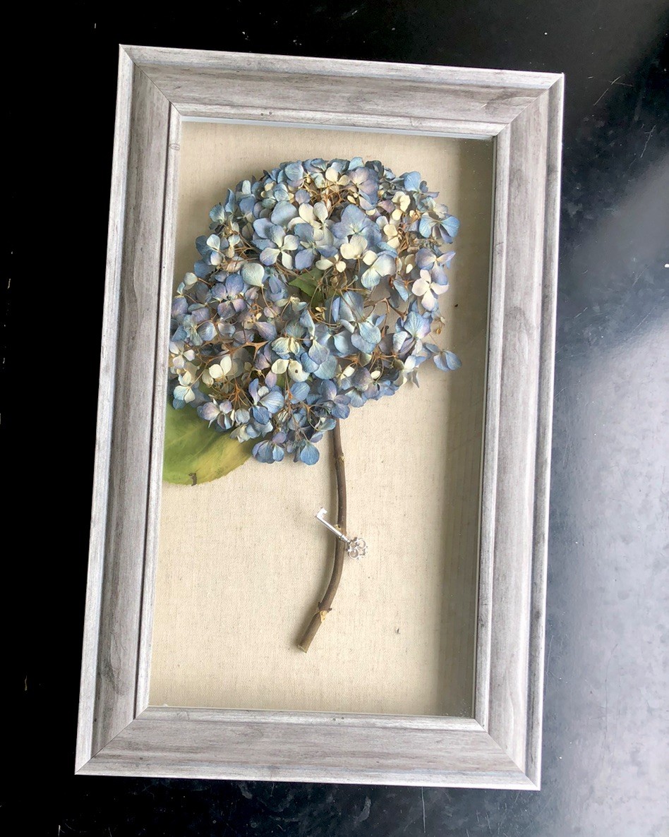 Real dried light blue hydrangea in wood frame 16”H x 10” W