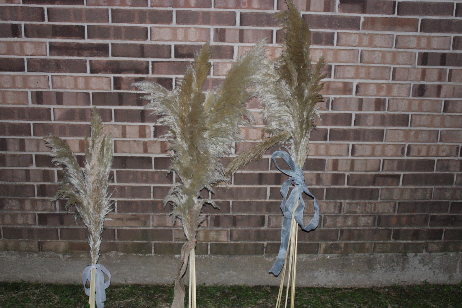 Pampas Grass Dried Stems 10-Pack, 40″ Natural Decor for Floor Vase