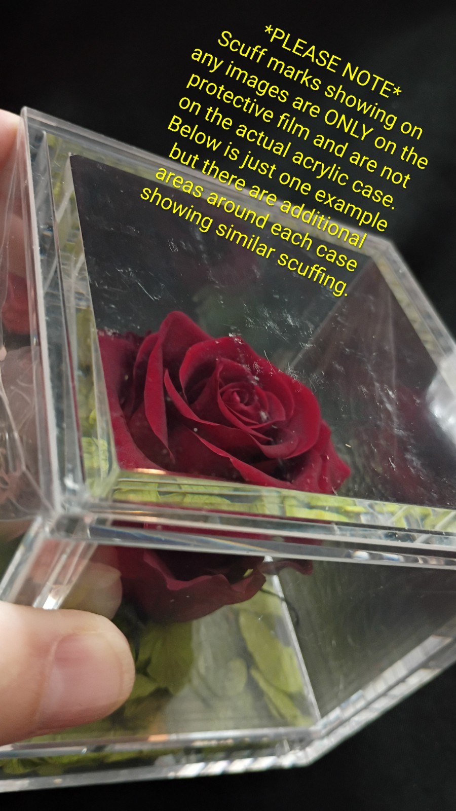 🌹Empress Flora 🌹Preserved Roses in 4″ x 4″ Acrylic Cases🌹Set of 2