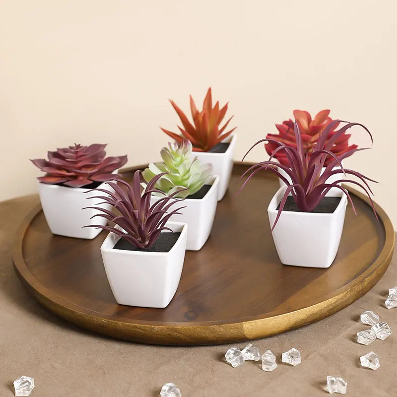 6PCS (SET) Mini Artificial Succulent Green Plant Plastic Wwhite Basin, Home Win