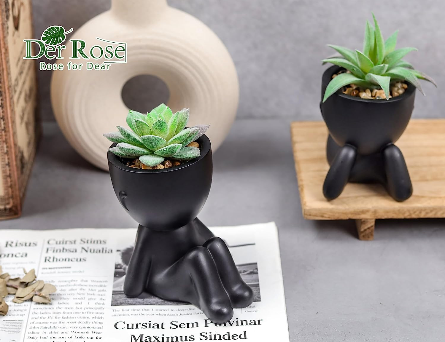 Set of 2 Fake Plants Artificial Succulent Plants for Office Desk Accessories …
